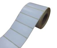 30X10 5 SIRA WELLUM ETİKET